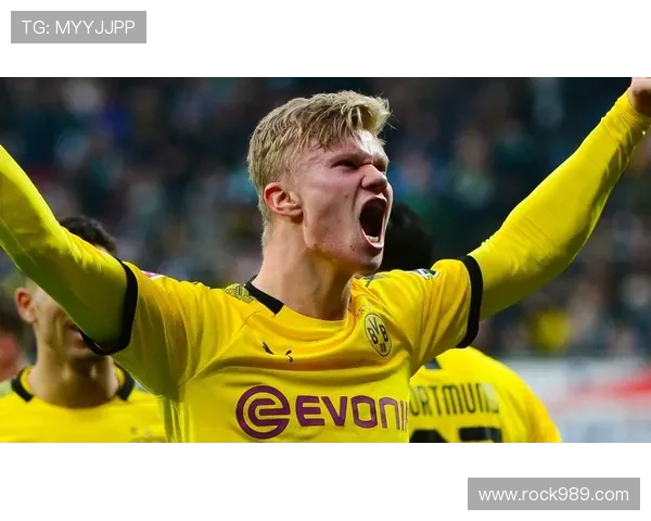 哈兰德采访金句少